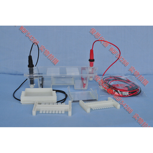 27022 水平电泳槽 高中生物仪器 全国便宜好用