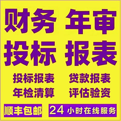 专业代做投标银行用财务报表
