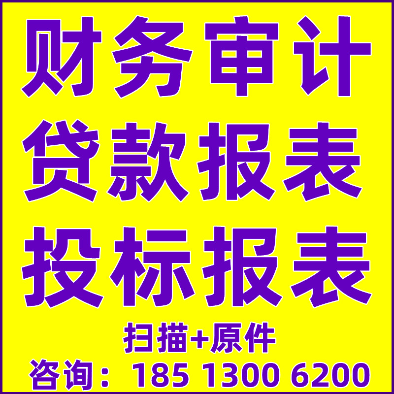 审计咨询银行投标财务报表审计