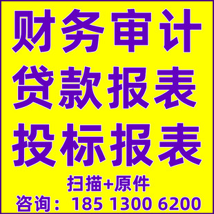 企业年度报表审计咨询公司招投标财务报表幼儿园清算年检转债资料