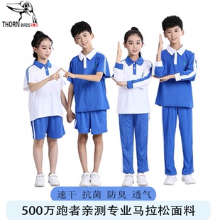 速干荆棘鸟校服深圳市小学生统一校服短袖短裤冰丝透气抗菌速干