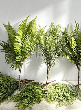 仿真虎耳蕨植物波斯蕨大叶蕨草客厅装饰绿植墙面造景蕨类假草