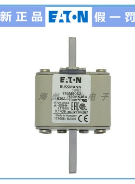 Eaton Bussmann 熔断器 170M5062 5065 5066 5068 保险丝 690V