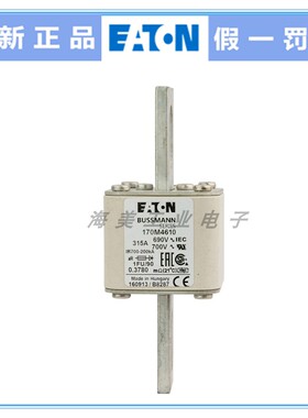 Eaton Bussmann熔断器 170M4610 4612 4614 4616 4617保险丝 690V