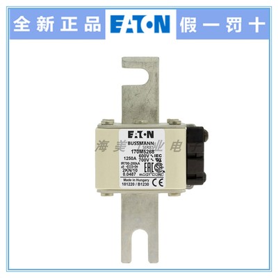 Eaton Bussmann 熔断器170M5263 5264 5265 5266 5268 保险丝690V