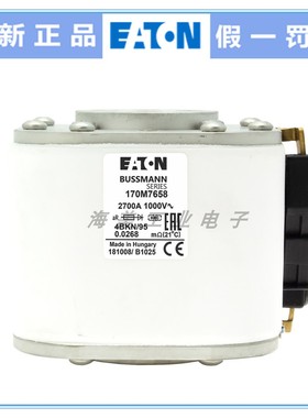 Bussmann熔断器170M7651 7658 7676 7689 7694 保险丝1000V1250V