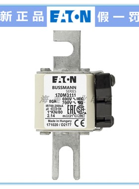 Bussmann 熔断器 170M3111 3112 3113 3114 3115 3116 3117保险丝