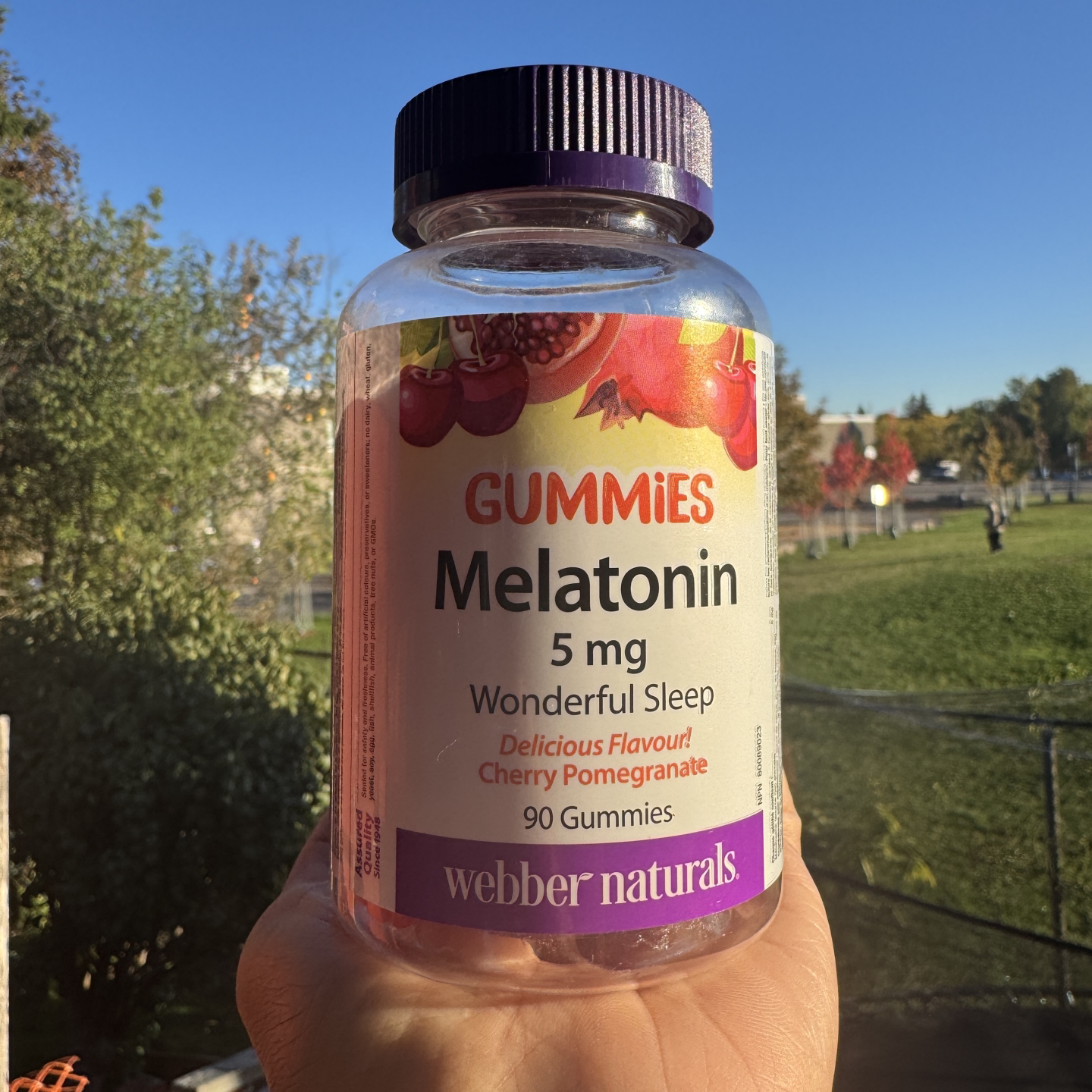 Webber naturals褪黑素软糖5mg倒时差90粒 水果味加拿大发货包邮