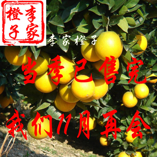 闽侯白沙李家脐橙自家果园新鲜直供冰糖味甜橙子多省包邮带箱20斤