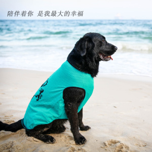透气大型犬大狗背心金毛拉不拉多大狗夏装衣服透气网眼