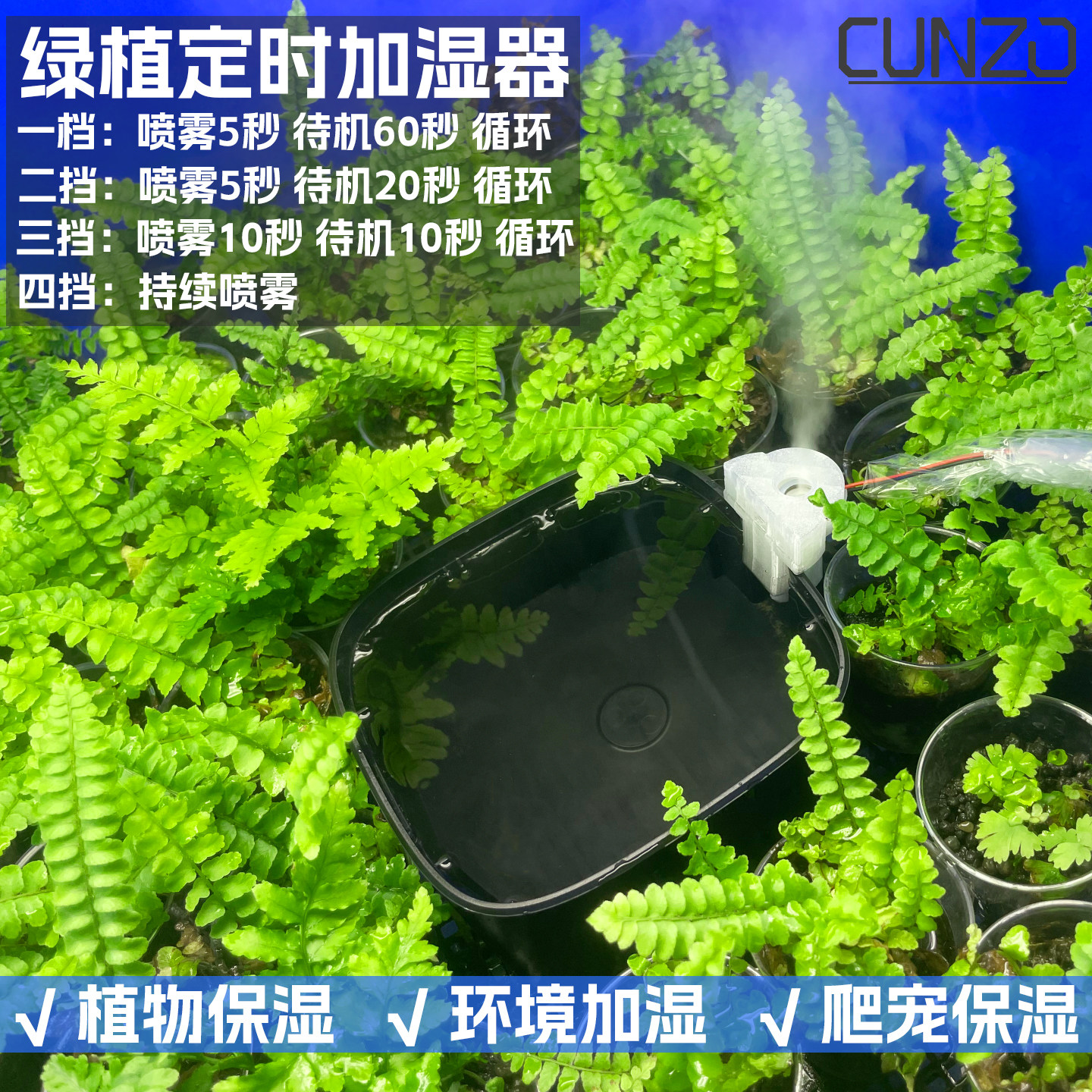 CUNZO桌面绿植爬宠雨林缸加湿器