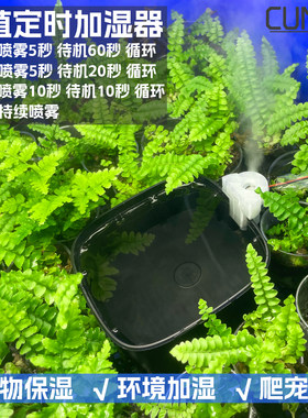 CUNZO桌面绿植爬宠雨林缸加湿器