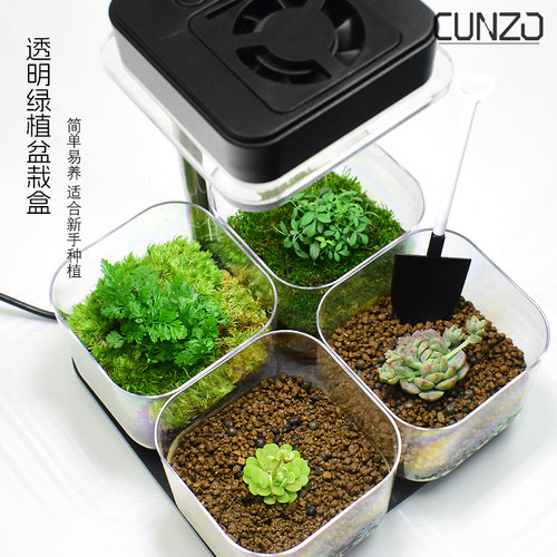 多肉食虫植物透明塑料小花盆绿植微景观养殖捕虫堇狼尾蕨茅膏菜