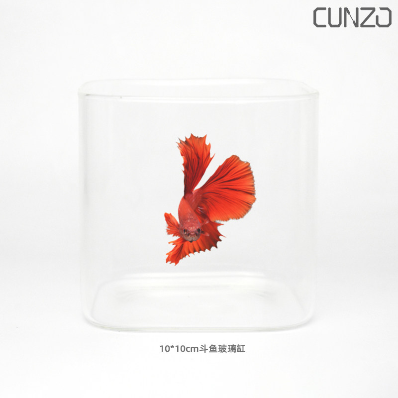 CUNZO桌面玻璃迷你斗鱼超白