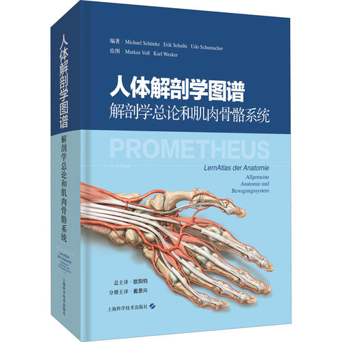 人体肌肉与骨骼图多少钱 人体肌肉与骨骼图价格 小麦优选