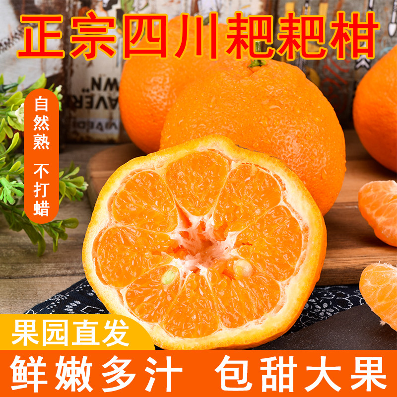 正宗春见耙耙柑当季新鲜现摘产地直发孕妇水果整箱芭芭丑柑桔年货