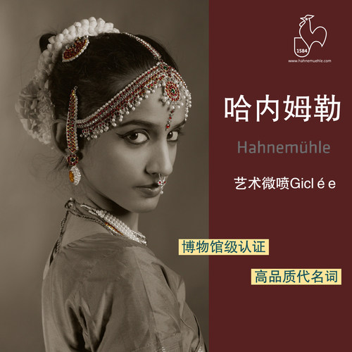 德国哈内姆勒定制艺术微喷