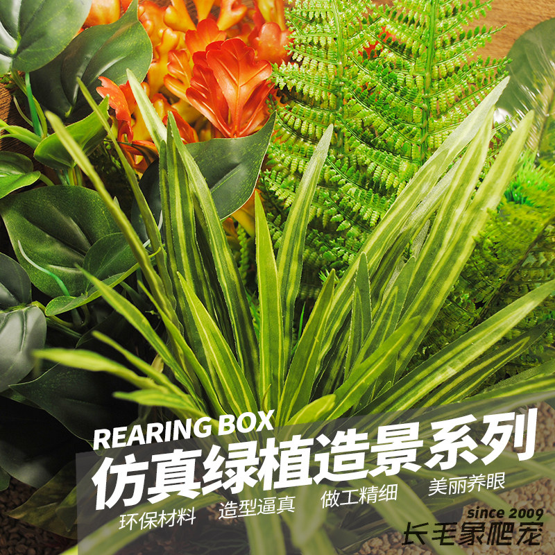 爬宠饲养箱乌龟缸陆龟蜥蜴蛇蟒鬃狮爬虫饲养盒仿真绿植造景装饰物图片