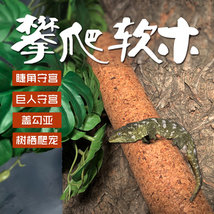 攀爬软木棍 睫角守宫巨人盖勾亚宠物蛇树蛙专用树栖爬宠造景茶棍