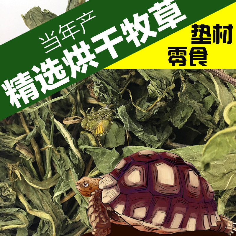 陆龟防隆背止泻尿促排酸金钱草蒲公英桑叶车前草陆龟粮烘干牧草