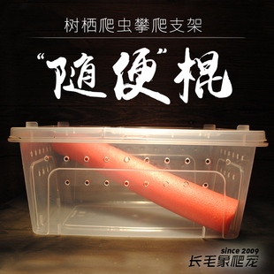 树栖爬虫攀爬支架随便棍随意裁剪弯曲豹纹睫角守宫泡沫条蛇蟒爬条