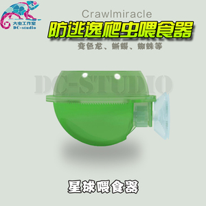2件包邮 CM爬虫防逃逸喂食器睫角守宫树栖蜥蜴活体活食喂食盆星球