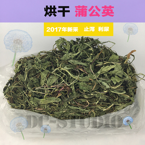 蒲公英兔子荷兰兔零食陆龟粮食特级烘干蒲公英干草牧草止泻利尿