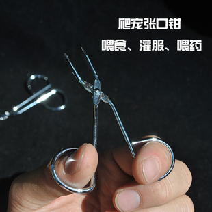 大虫工作室陆龟蜥蜴变色龙蜘蛛蝎子蛇蟒角蛙仓鼠开口喂食灌药钳子