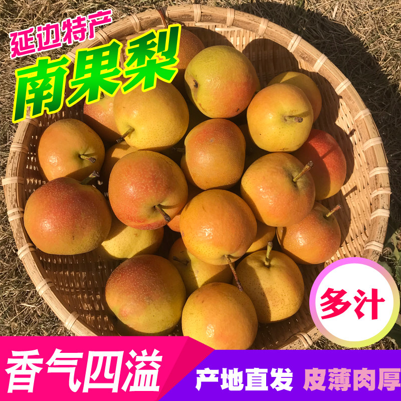 东北南国梨延边安国果梨特产酒香味汁水甜软梨子孕妇应季水果包邮