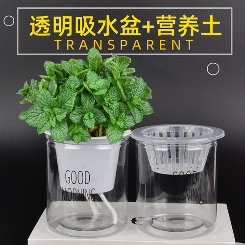透明懒人盆水培盆带土带定植篮
