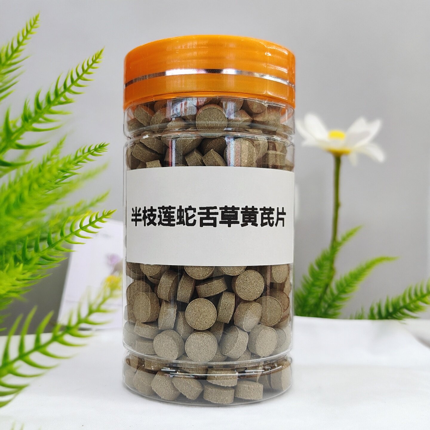 云南白花蛇舌草半枝莲黄芪片磨粉压片 蛇舌草半枝莲 正宗中药材