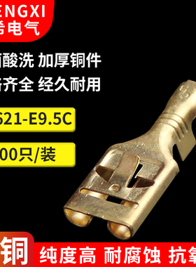 DJ621-E9.5x1.2C/9.5接线端子大电流汽车继电器端子 9.5平刺100只