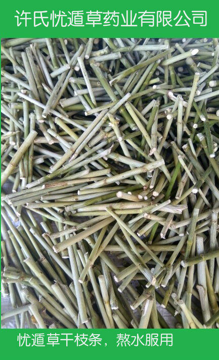 普宁特产许氏忧遁草干梗 优盾草干枝 优顿草干茎 鳄嘴花茶500克