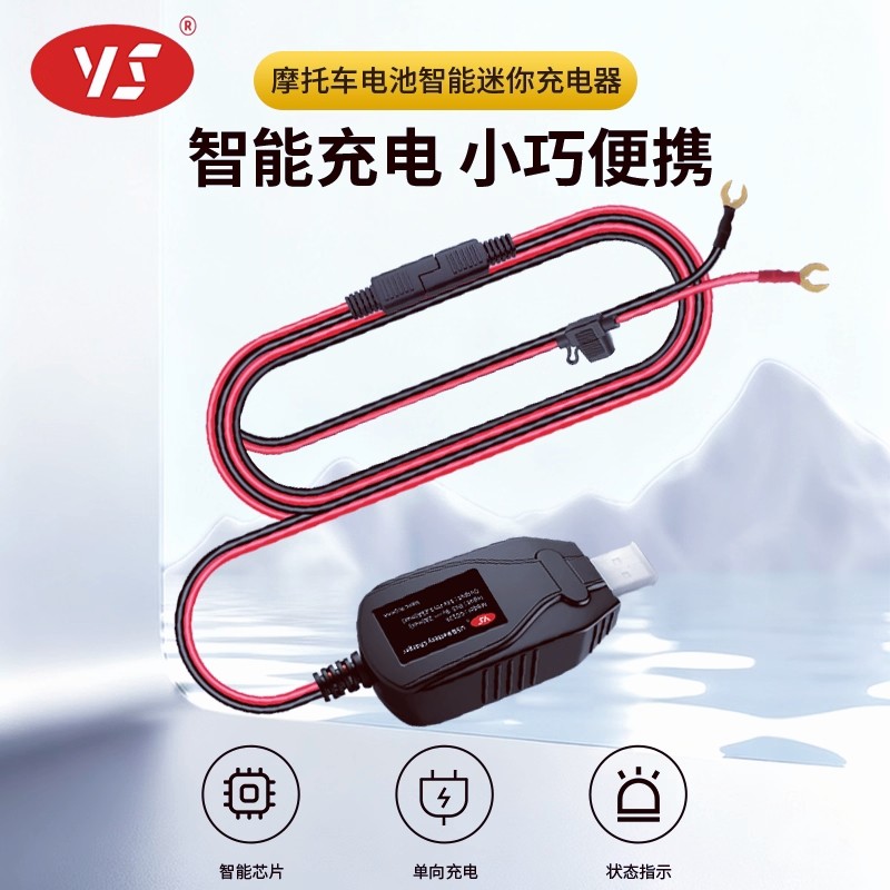 摩托车电瓶修复便携快速充电器图片