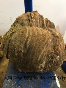 东北其他新款号松明子沉化老料北沉香雕刻练手树根树瘤树包摆件