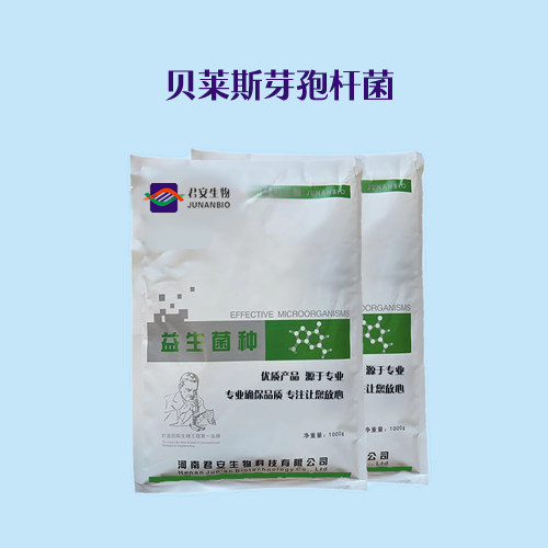 贝莱斯芽孢杆菌 扩培级贝莱斯芽孢杆菌 活菌包子2000亿/克水溶