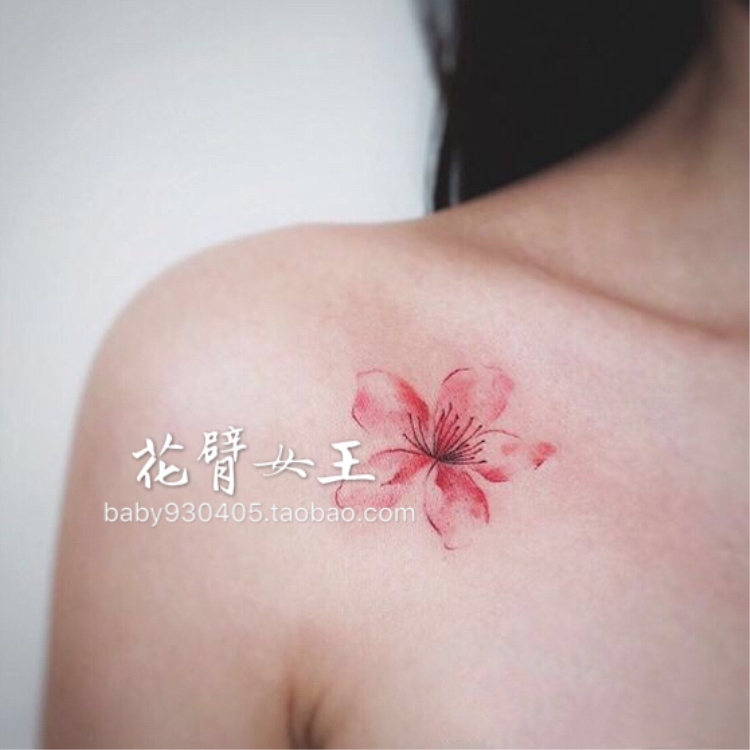 花臂少女TATTOO S48花朵花卉性感肩膀红花纹身贴一张两个