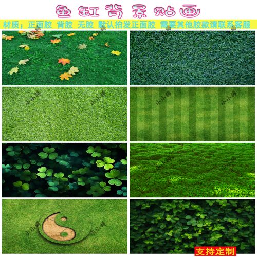 鱼缸背景贴画草坪个性装饰画