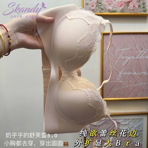 纯欲蕾丝内衣女小胸聚拢显大无钢圈固定上托收副乳防下垂文胸罩