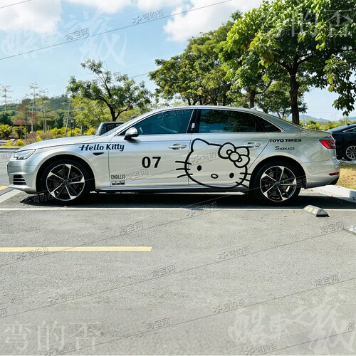 适用奥迪拉布布车贴特斯拉Model 3 Y卡通创意SU7KT猫车身装饰贴纸