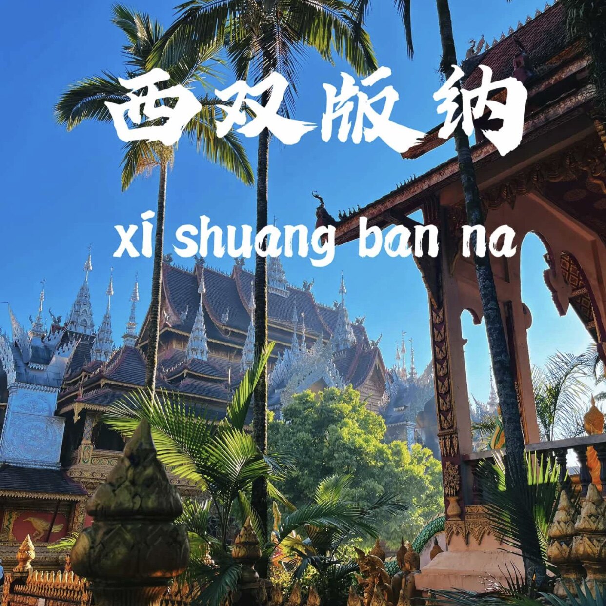 云南西双版纳旅游攻略图2026设计素材/源文件