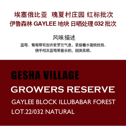 埃塞瑰夏村红标/绿标批次 依鲁森林圆石货源 新鲜烘焙咖啡豆/挂耳