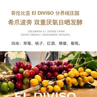 分界線莊園希爪波旁厭氧水洗