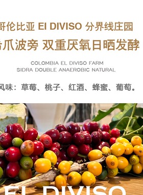 获奖无数 哥伦比亚 分界线庄园（Diviso庄园）希爪/粉红波旁/瑰夏