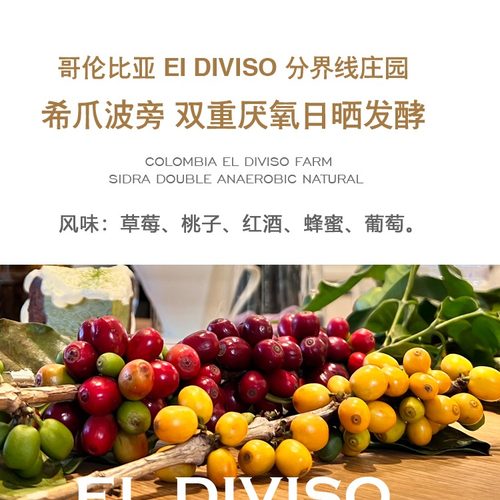 分界线庄园希爪波旁厌氧水洗