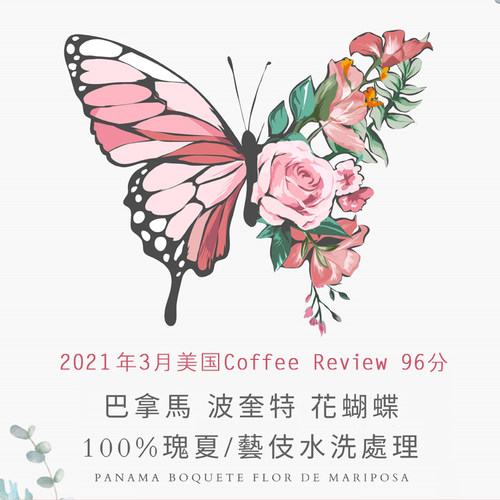 巴拿马百分百瑰夏花蝴蝶水洗