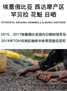 埃塞 新产季花魁X  TOH冠军阿多斯 魔魔拉coffee review高评分
