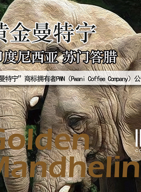 印尼 黄金曼特宁  Golden Mandheling进口精选咖啡豆醇厚浓郁不酸