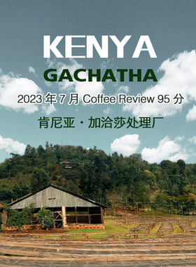 coffee review里的高分王 肯尼亚加洽莎处理厂AA 圆豆 精品咖啡豆