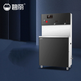 广东碧丽商用直饮水机智能工厂用全自动304不锈钢 JO3Q5C优质过滤